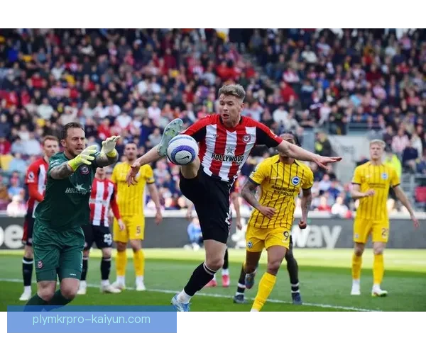 布伦特福德本赛季数据分析表现稳健现稳健，主场竞争力持续提升