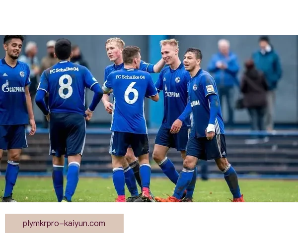 沙尔克中场组织近期表现稳健，攻防转换效率持续提升